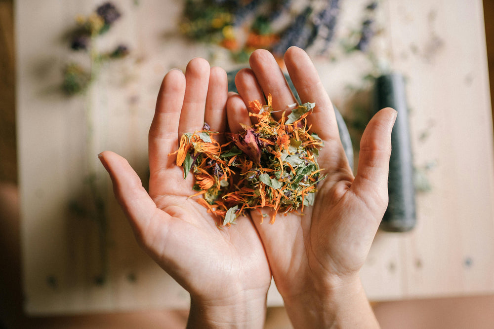 The Best Herbs to Support Emotional Resilience