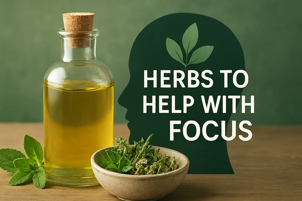 7 Essential Herbs To Help With Focus In 2026