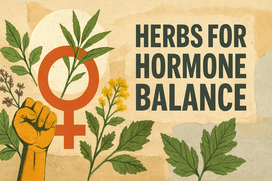 7 Powerful Herbs for Hormone Balance in 2026