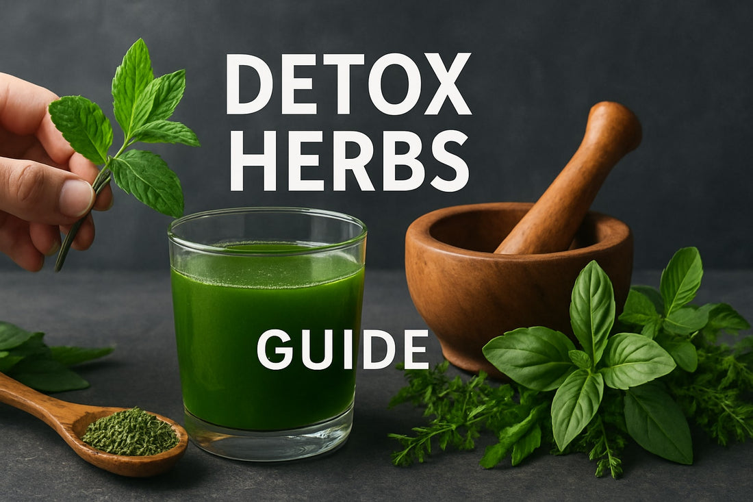 Detox Herbs Guide: Natural Cleansing Tips for 2026