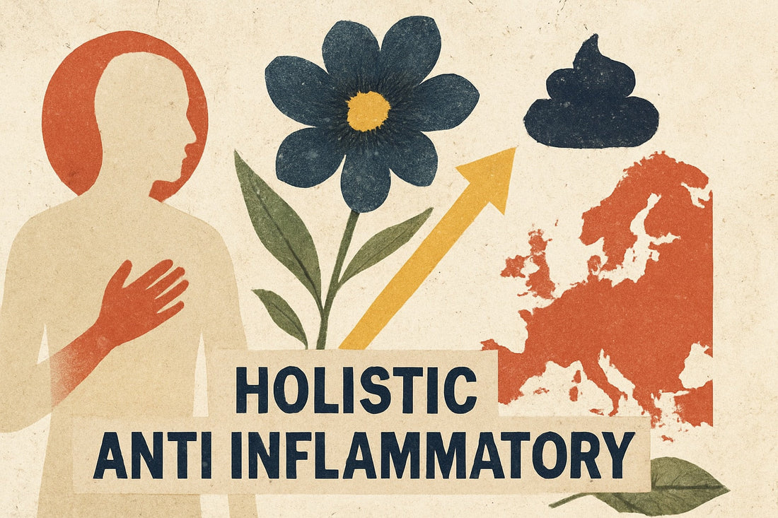Holistic Anti Inflammatory Guide: Your Path to Wellness 2026