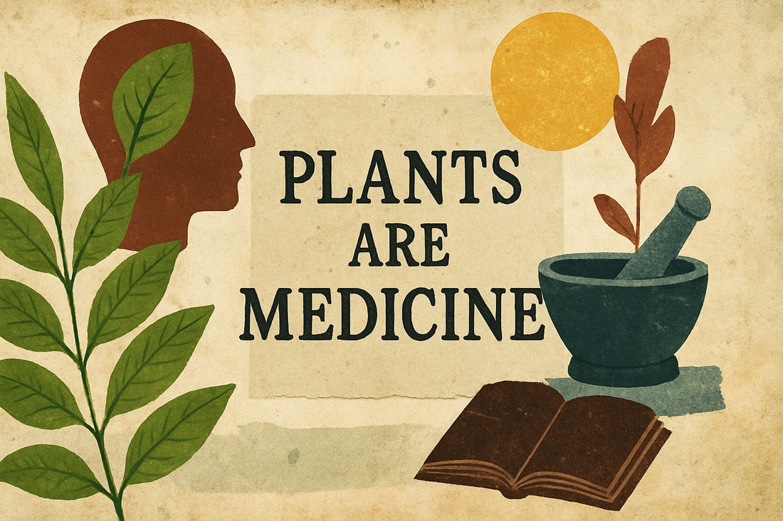 Plants Are Medicine Guide: Exploring Nature’s Healing Power 2026