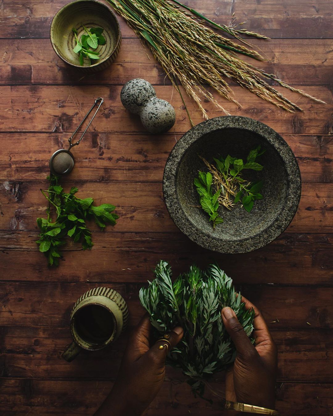 Mugwort: Dream Work, Digestion & the Feminine Gateway