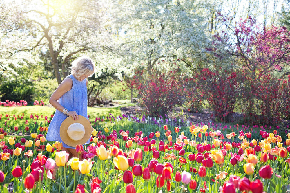 The Art of Seasonal Living: Plants & Practices for Each Transition