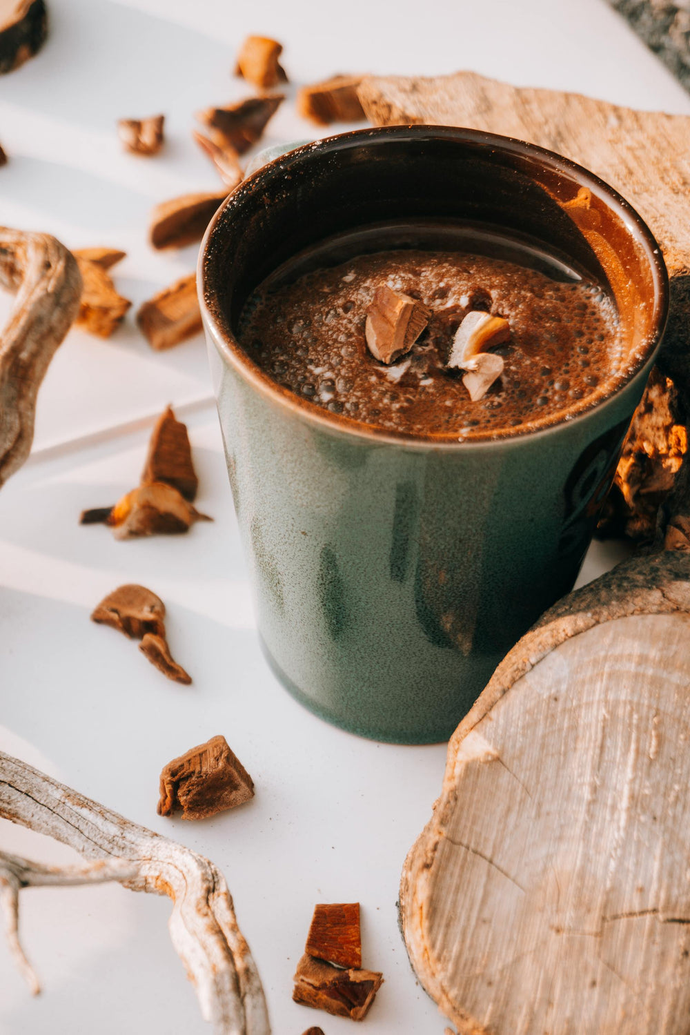 Can Plants (and Fantastic Fungi) Make You Smarter? Natural Cognitive Enhancers That Support Focus & Memory