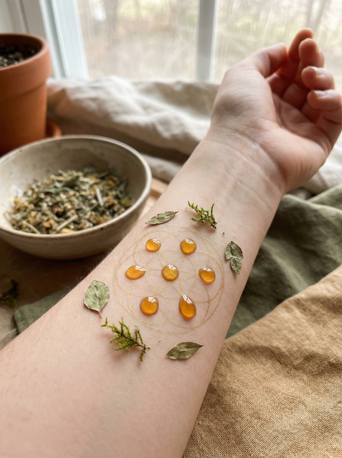 Evidence-Based Body Care: Why We Work With Oils — And Why They Matter