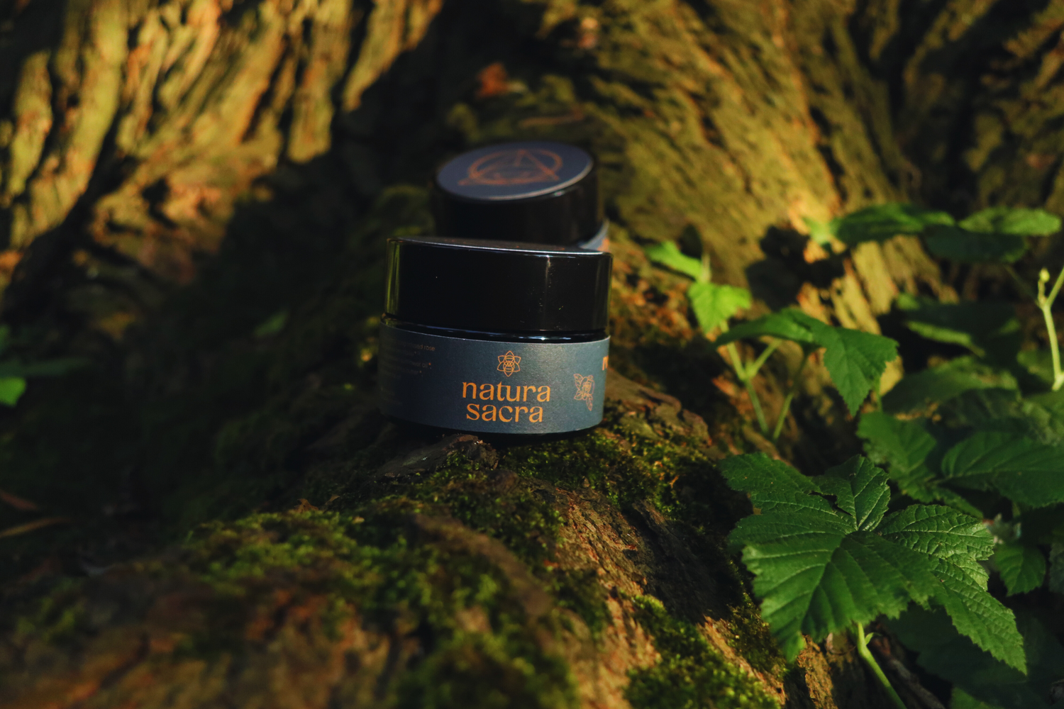 Women’s Health & Balance